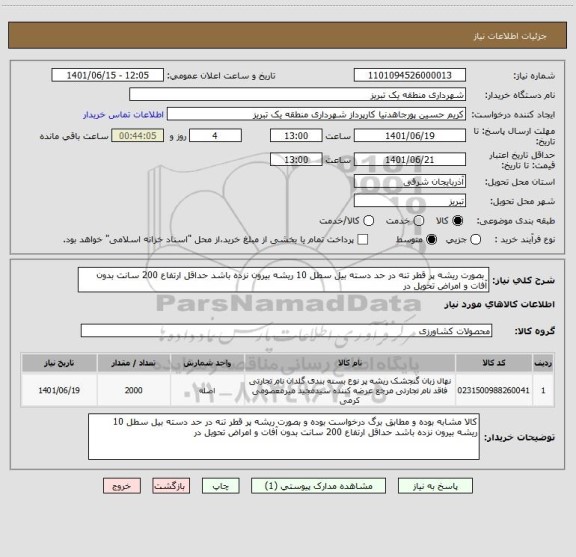 استعلام  بصورت ریشه پر قطر تنه در حد دسته بیل سطل 10 ریشه بیرون نزده باشد حداقل ارتفاع 200 سانت بدون آفات و امراض تحویل در