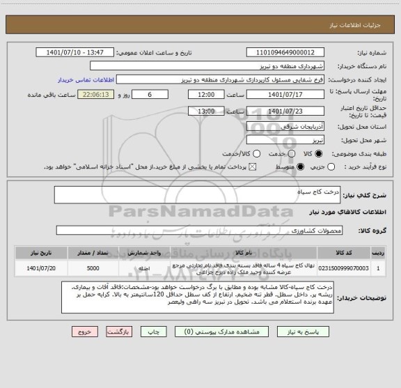 استعلام درخت کاج سیاه