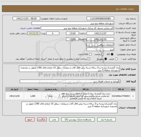 استعلام زبان گنجشک:ریشه پر-3 ساله-دسته بیلی-فاقد آفات و بیماری- سطل 10 ارتفاع بالای 1/80 تحویل در محدوده شهرداری منطقه 5 تبریز