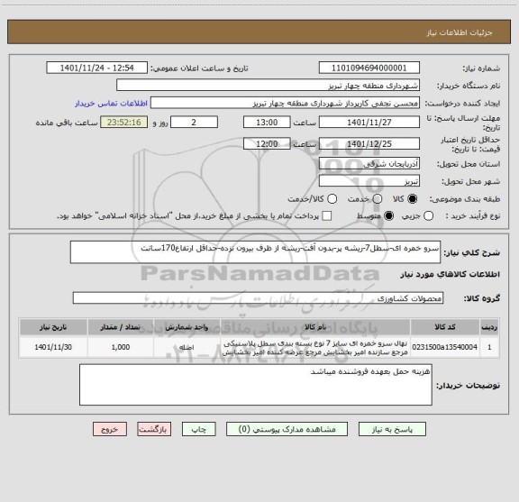 استعلام سرو خمره ای-سطل7-ریشه پر-بدون آفت-ریشه از ظرف بیرون نزده-حداقل ارتفاع170سانت