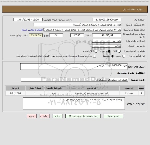 استعلام خرید 1650000 نهال اکالیپتوس