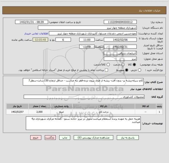 استعلام کاج سیاه-ریشه پر- بدون آفت- ریشه از ظرف بیرون نزده-قطر تنه مناسب - حداقل ارتفاع 150سانت-سطل7