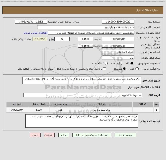 استعلام برگ نو-کیسه بزرگ-چند شاخه- تنه اصلی مدادی- ریشه از ظرف بیرون نزده- بدون آفت- حداقل ارتفاع50سانت-