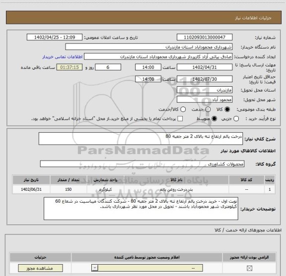 استعلام درخت پالم ارتفاع تنه بالای 2 متر جعبه 80