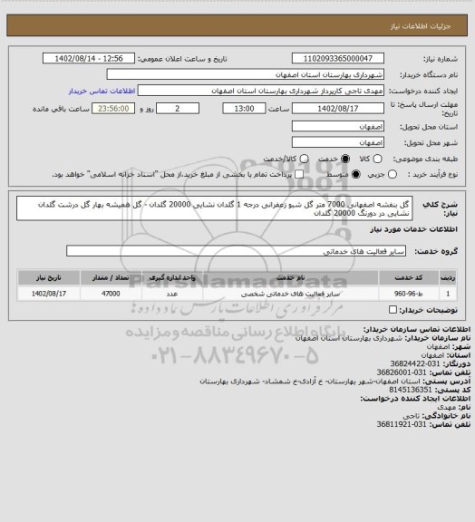 استعلام  گل بنفشه اصفهانی 7000 متر گل شبو زعفرانی درجه 1 گلدان نشایی 20000 گلدان - گل همیشه بهار گل درشت گلدان نشایی در دورنگ 20000 گلدان