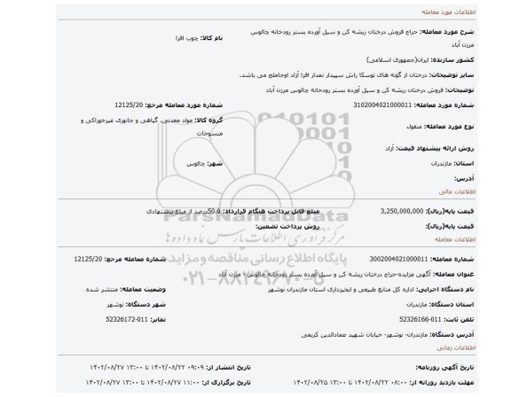 فروش درختان ریشه کن و سیل آورده بستر رودخانه چالوس مرزن آباد