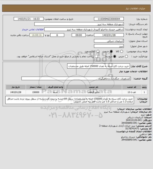 استعلام خرید درخت کاج سیاه به تعداد 150000 اصله طبق مشخصات