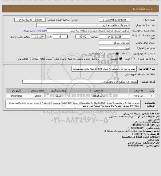 استعلام خرید درخت کاج مشهد به تعداد 50000اصله طبق مشخصات