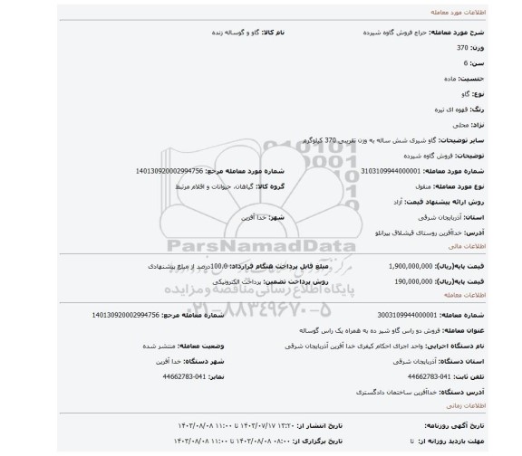 مزایده، فروش گاوه شیرده