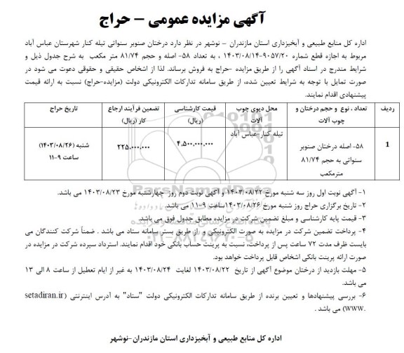 مزایده 58 اصله درختان صنوبر سنواتی به حجم 81/74 مترمکعب