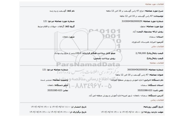 مزایده، 47 راس گوسفند نر 10 الی 12 ماهه