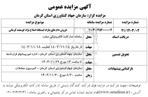 مزایده فروش دام های مازاد ایستگاه اصلاح نژاد گوسفند