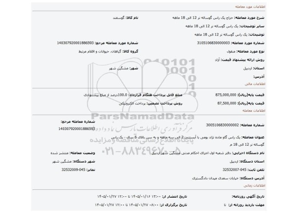 مزایده، یک راس گوساله نر 12 الی 18 ماهه