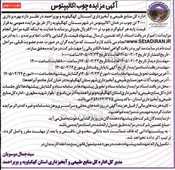 آگهی مزایده چوب اکالیپتوس- نوبت دوم