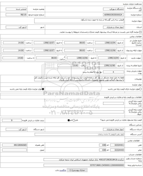 فروش سه راس گوساله نر زنده به صورت زنده باسکول