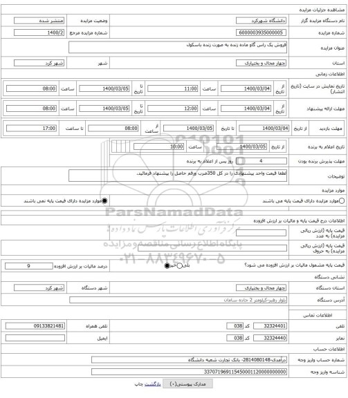 فروش یک راس گاو ماده زنده به صورت زنده باسکول