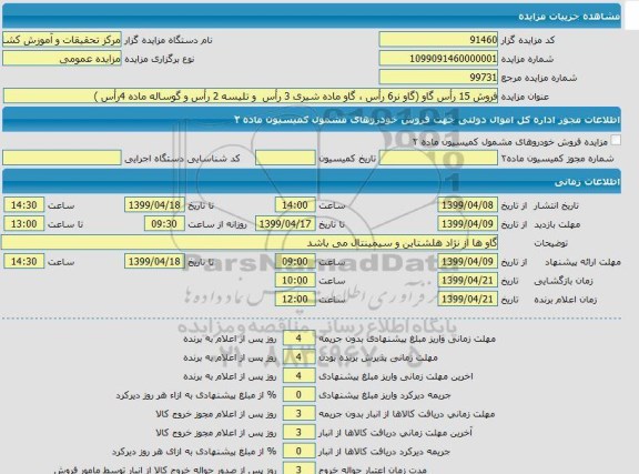 مزایده فروش 15  راس گاو گاو نر 6 راس