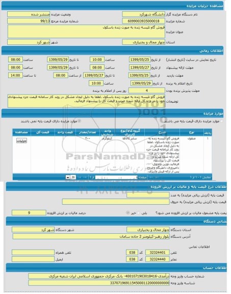 مزایده فروش گاو تلیسه زنده به صورت زنده باسکول