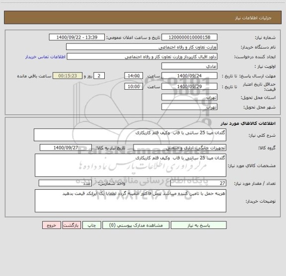 استعلام گلدان مینا 25 سانتی با قاب  وکیف قلم کاریکاری