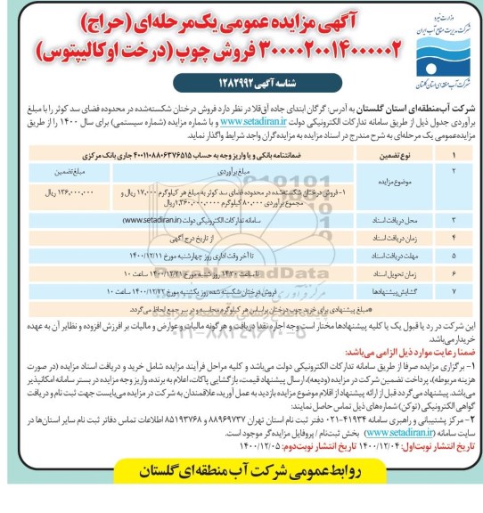 مزایده فروش چوب (درخت اکالیپتوس)